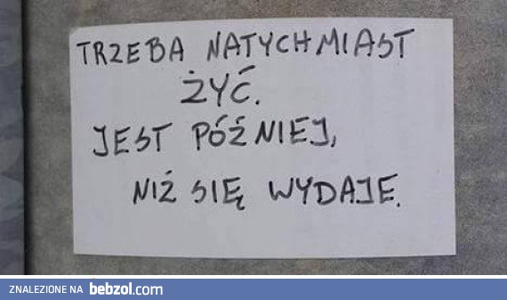 Trzeba żyć