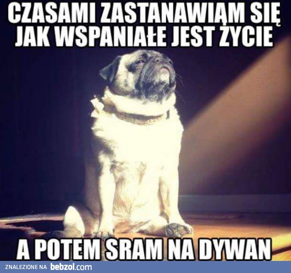 Życie jest wspaniałe