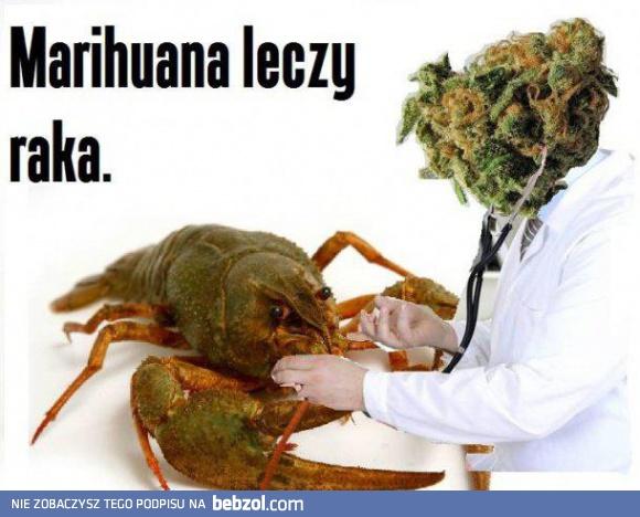 Marihuana leczy raka