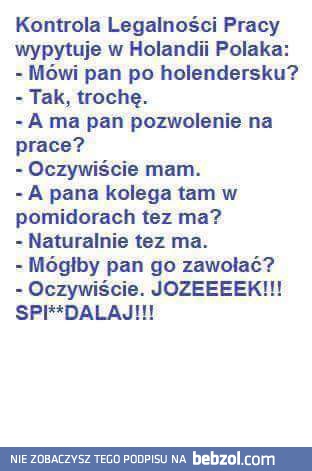 Pozwolenie na prace