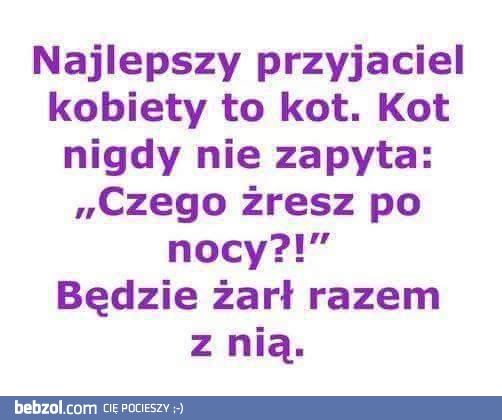 Najlepszy przyjaciel kobiety