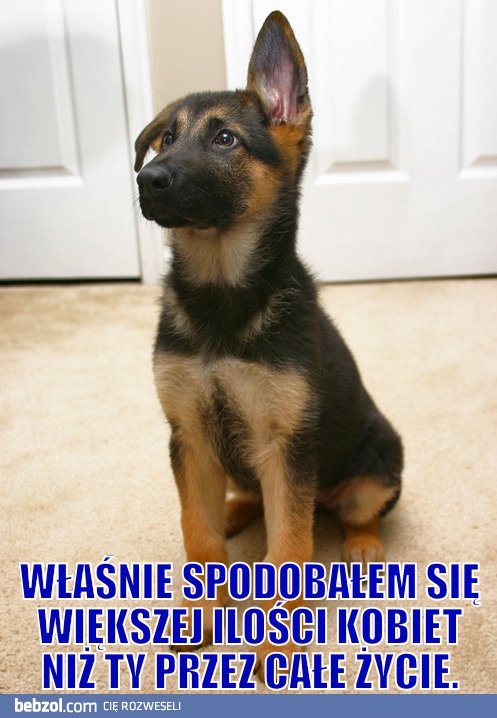 Własnie spodobałem się