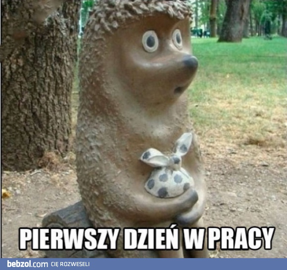 Nowa praca