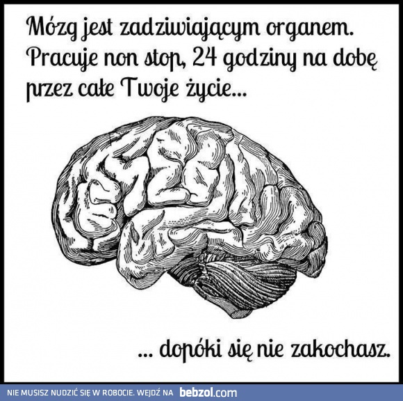 Mózg jest zadziwiającym organem