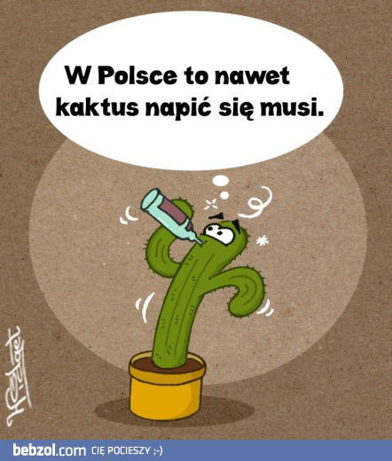 Kaktus w Polsce