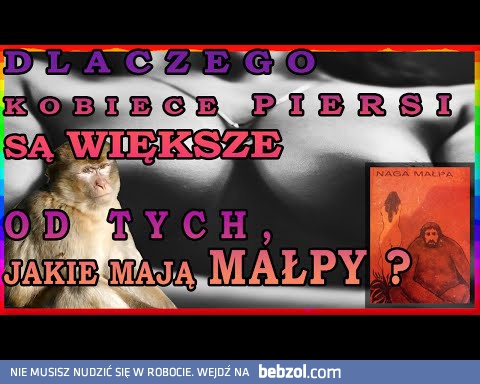 Dlaczego kobiety mają większe piersi niż małpy ? 