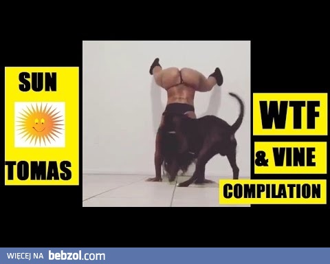 Ciekawa kompilacja dziwnych filmików