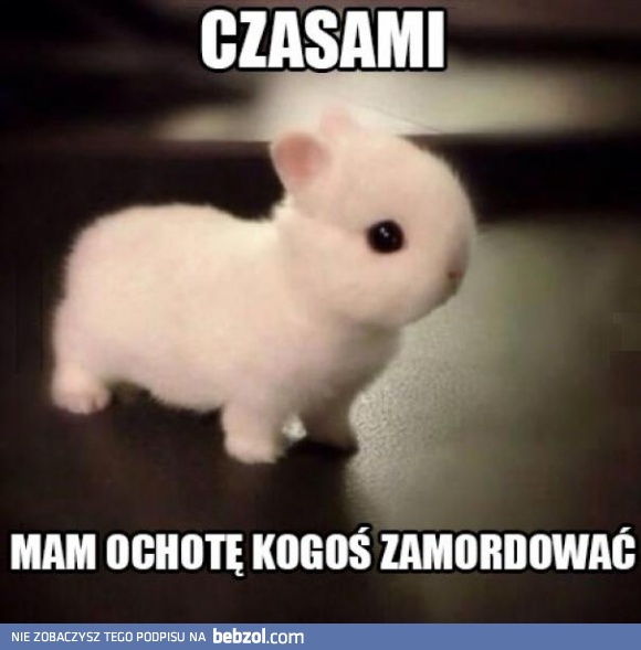 Są takie dni w tygodniu