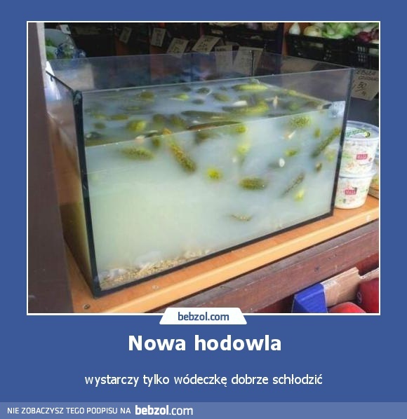Nowa hodowla