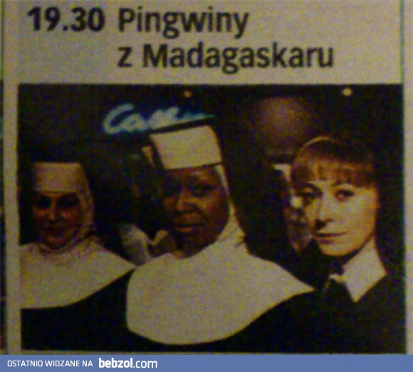 Pingwiny z madagaskaru 