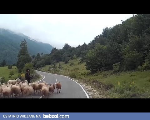 Pewnie go jeszcze wyrucha...