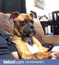 Gdy różowy zmusza cię do oglądania swojego babskiego filmu...