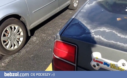 Już zawsze znajdziesz auto na prankigu!