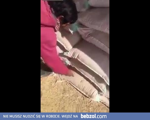 Matematyczny geniusz...