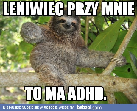 Tak szczerze mówiąc