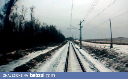 Stado jeleniowatych przekracza torowisko kiedy nadjeżdża pociąg