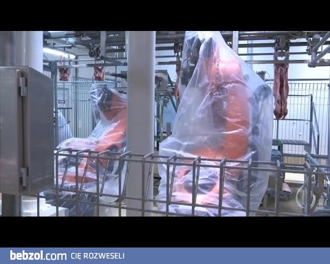 Przetwórstwo mięsne