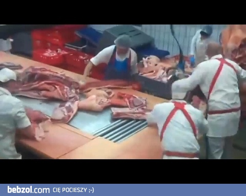 Rozbiór w niemczech