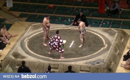 Brutalny nokaut w zapasach sumo
