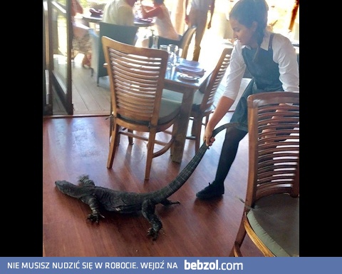 Kelnerka wynosi klienta z lokalu