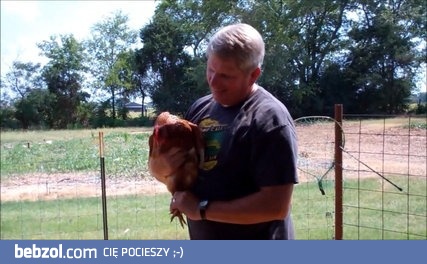 Jak złapać kurę nie męcząc się przy tym 