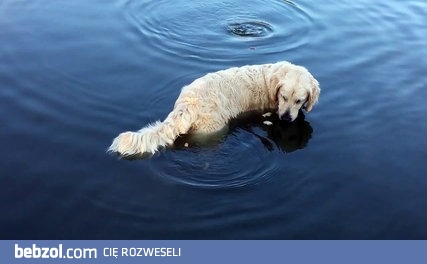 Cierpliwość popłaca