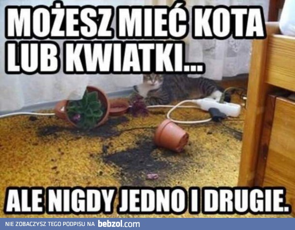 Wybierz mądrze