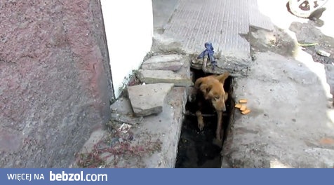 Na skraju śmierci, uratowany przez dobrych ludzi