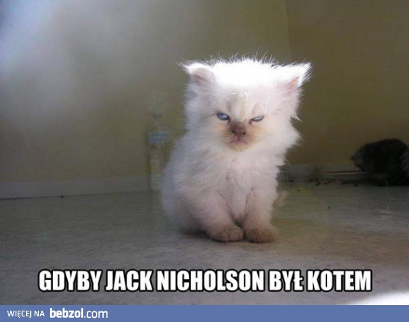Gdyby Jack Nicholson był kotem