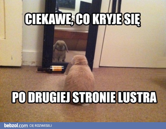Druga strona lustra