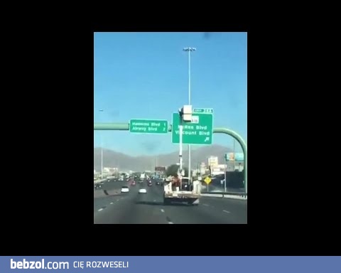 Pewnego dnia na drodze