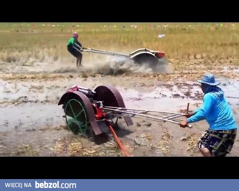 Przyjemne z pożytecznym - oranie pól ryżowych tym wynalazkiem