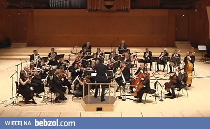 Po czym poznać profesjonalnego muzyka?