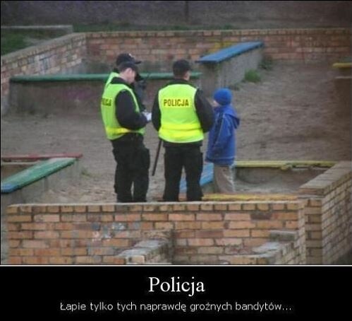 Najbardziej znienawidzone zawody w Polsce