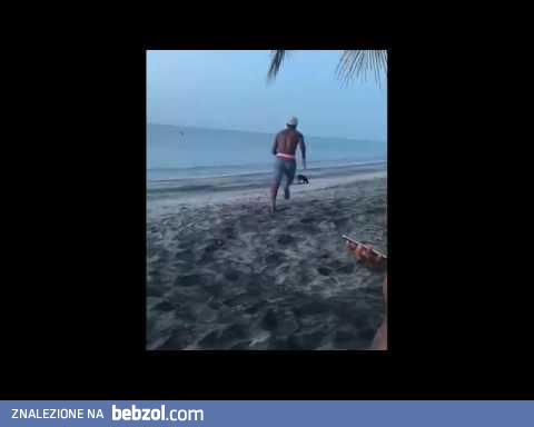 Czarny zaczepia pieska