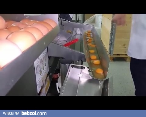 Jak oddzielic żółtko od białka