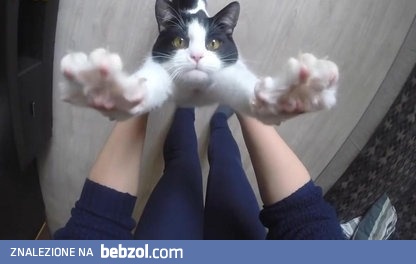 Te, człowiek, weź mnie przytul 