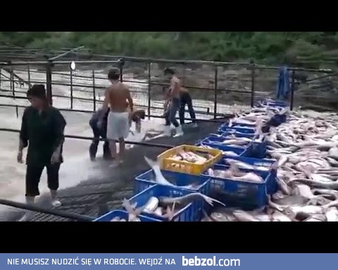 Wędkarstwo nigdy nie było tak łatwe