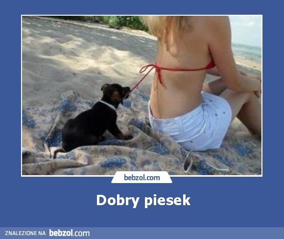 Dobry piesek