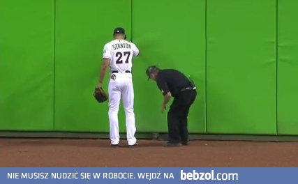 Kot biegnie po polu w Marlins Parku i wspina się na ścianę