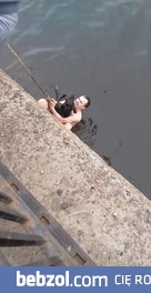 Przypadkowy przechodzień uratował bezpańskiego psa 