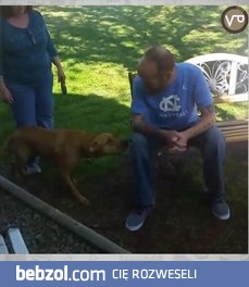 Piesek nie rozpoznaje właściciela, dopóki go nie powącha