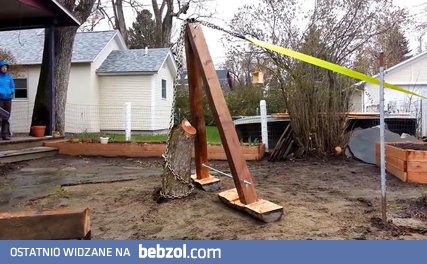 Wyrywanie pieńka z głową