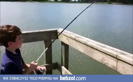 Aligator ratuje przyjaciela przed zjedzeniem