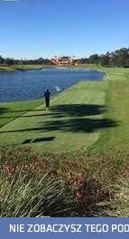 Grasz sobie w golfa aż tu nagle...