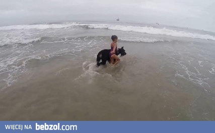 Pies pilnuje kąpiącego się dziecka 