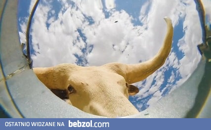 Facet włożył kamerę do wiadra z wodą