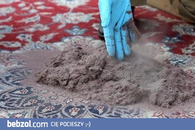 Koniecznie obejrzyj ten filmik 