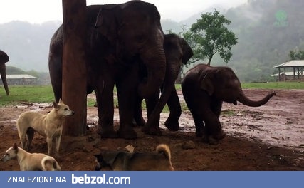 Dobra, koniec na dzisiaj zabaw. Pora spać!