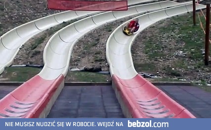 Rodzinny zjazd na alpejskiej ślizgawce